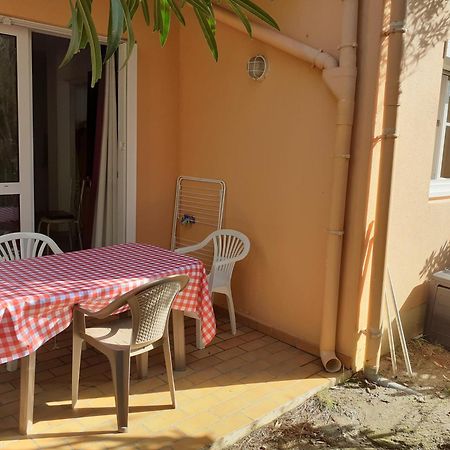 Bel Appartement Bord De Mer Cerbere Exterior photo