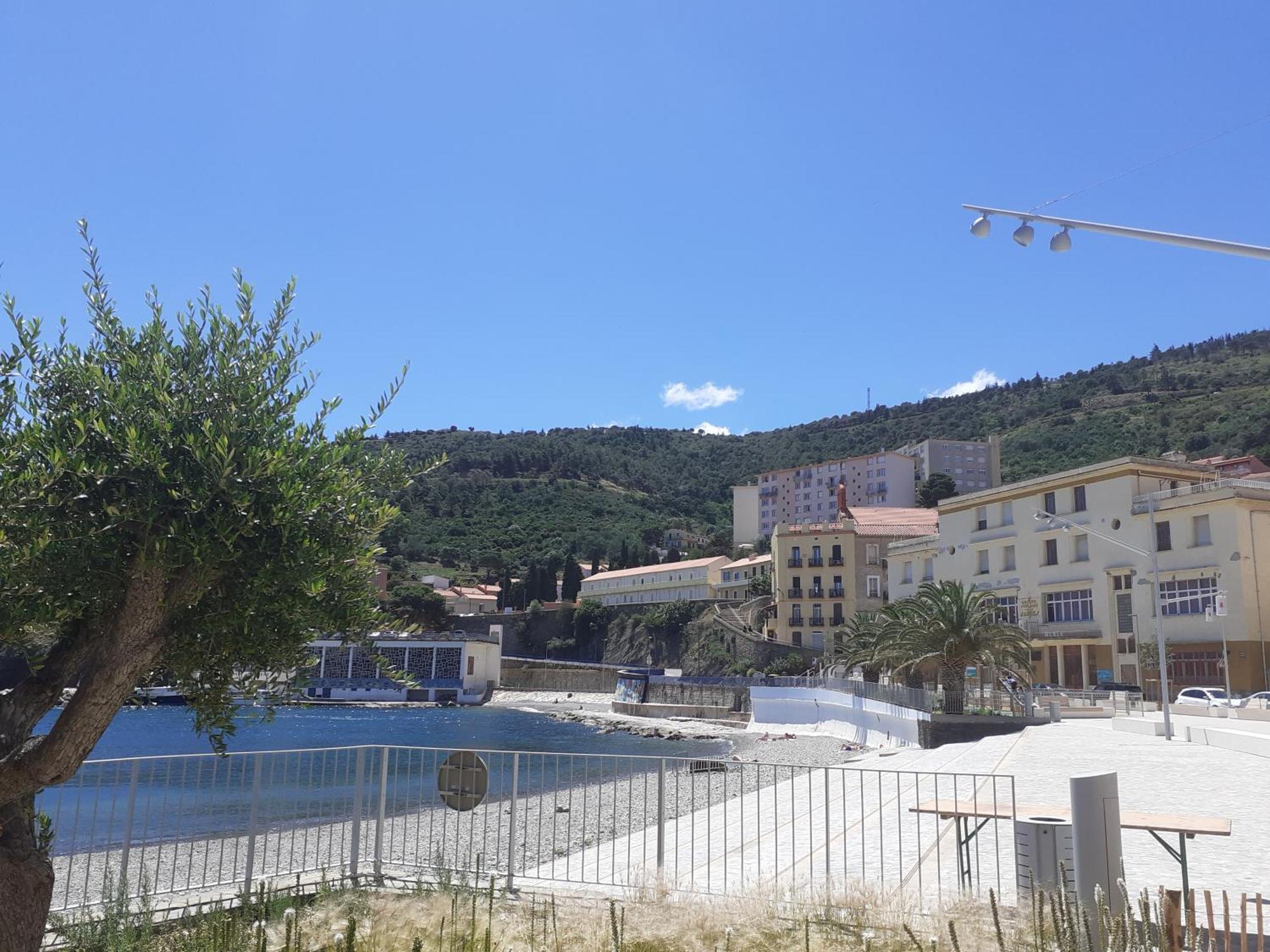 Bel Appartement Bord De Mer Cerbere Exterior photo